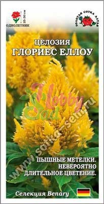 Цветы Целозия Глориес Еллоу перистая (10 шт) Сотка