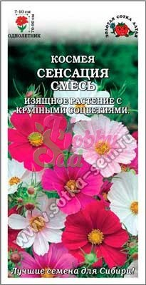 Цветы Космея Сенсация смесь (0,5 г) Сотка