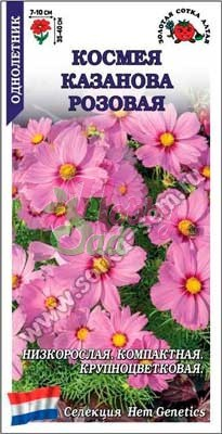 Цветы Космея Казанова розовая (5 шт) Сотка