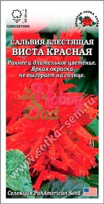 Цветы Сальвия Виста Красная (10 шт) Сотка