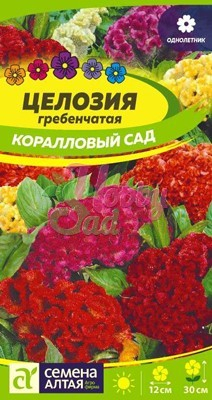 Цветы Целозия Коралловый Сад гребенчатая (0,2 г) Семена Алтая