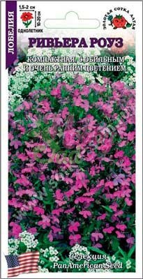 Цветы Лобелия Ривьера Роуз ( 10 шт) Сотка