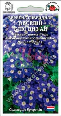 Цветы Вербена Обсешн Блю Виз Ай (5 шт) Сотка