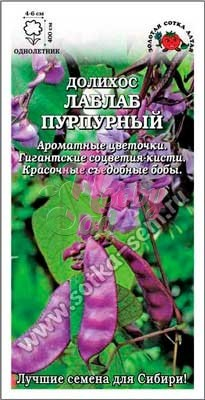 Цветы Долихос Лаблаб пурпурный  (3 шт) Сотка