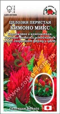 Цветы Целозия Кимоно Микс перистая (10 шт) Сотка