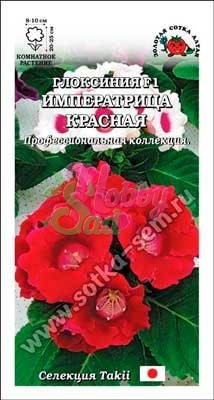 Цветы Глоксиния Императрица F1 Красная (5 шт) Сотка