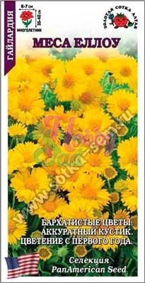 Цветы Гайлардия Меса Еллоу (5 шт) Сотка