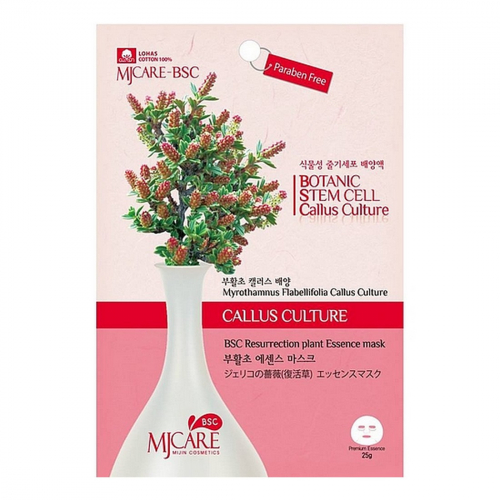 MIJIN Маска тканевая с экстрактом миротамнуса / MJ Care BSC Resurrection Plant Essence Mask, 25 г