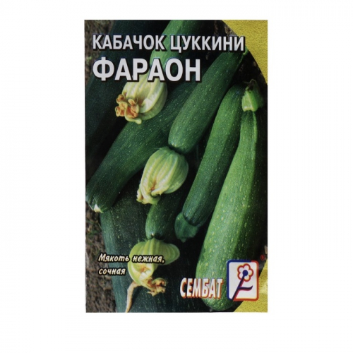 Семена Кабачок цуккини 