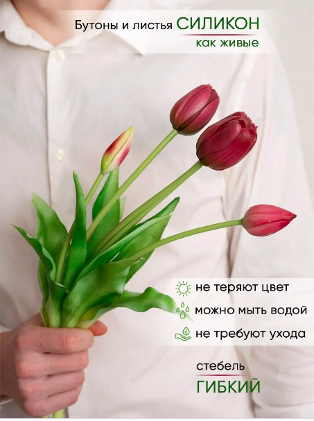 Букет тюльпанов 5 шт. (3 полураскрытых + 2 закрытых) (фиолетовый)