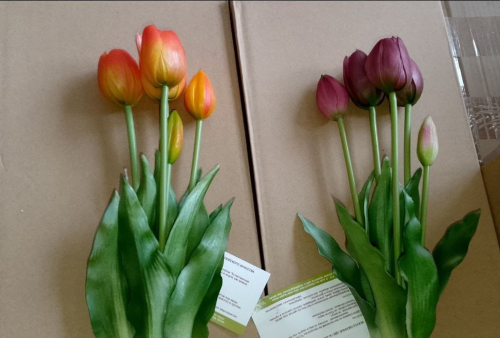 Букет тюльпанов 5 шт. (3 полураскрытых + 2 закрытых) (фиолетовый)