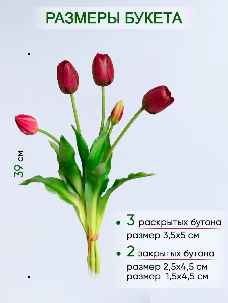 Букет тюльпанов 5 шт. (3 полураскрытых + 2 закрытых) (фиолетовый)