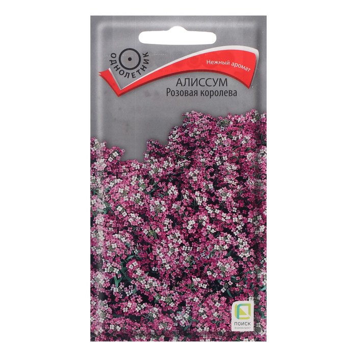 Семена цветов Алиссум