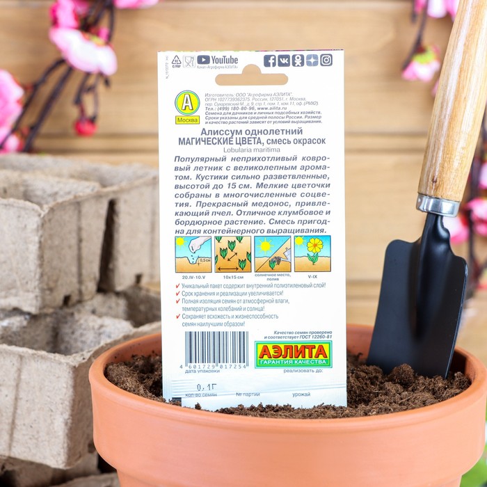 Семена цветов Алиссум