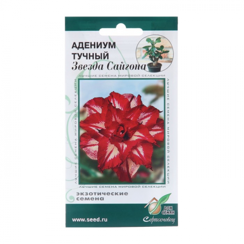 Семена цветов Адениум тучный 