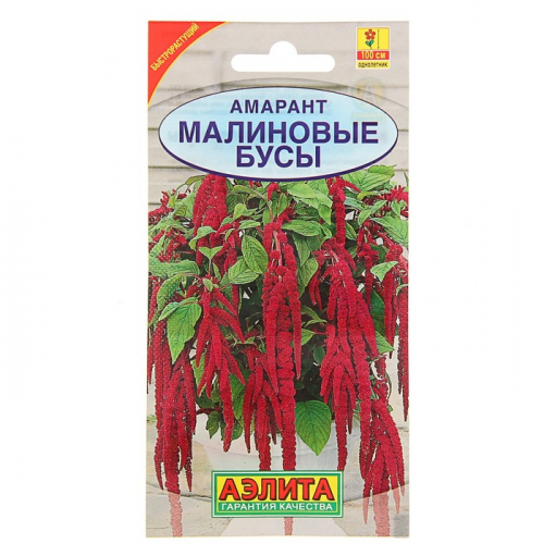 Семена цветов Амарант 