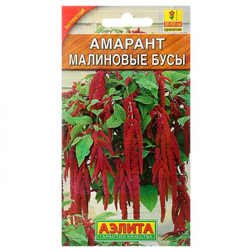 Семена цветов Амарант 