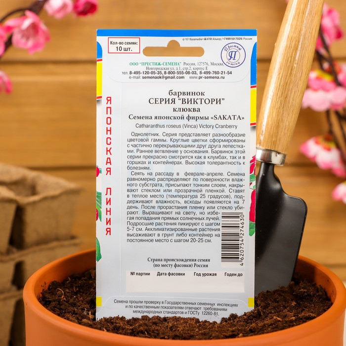 Семена цветов Барвинок