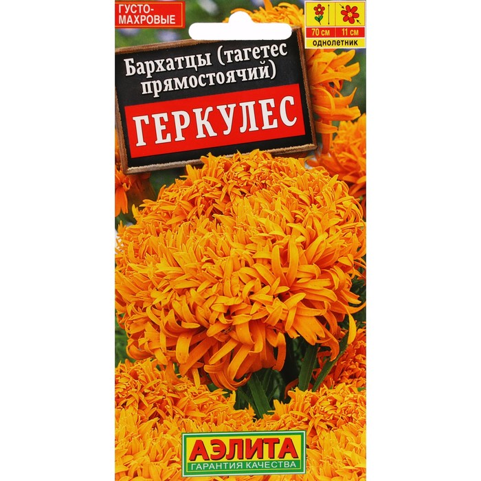 Семена Цветов Бархатцы