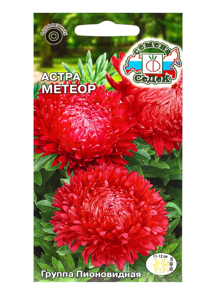 Семена Цветок Астра