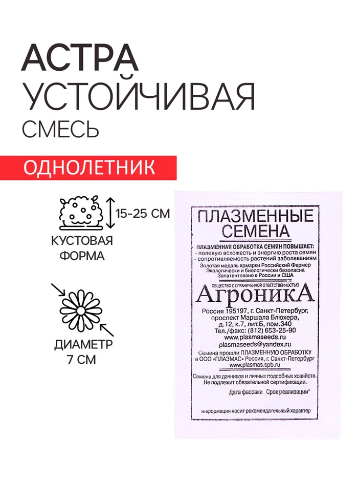 Семена Астра