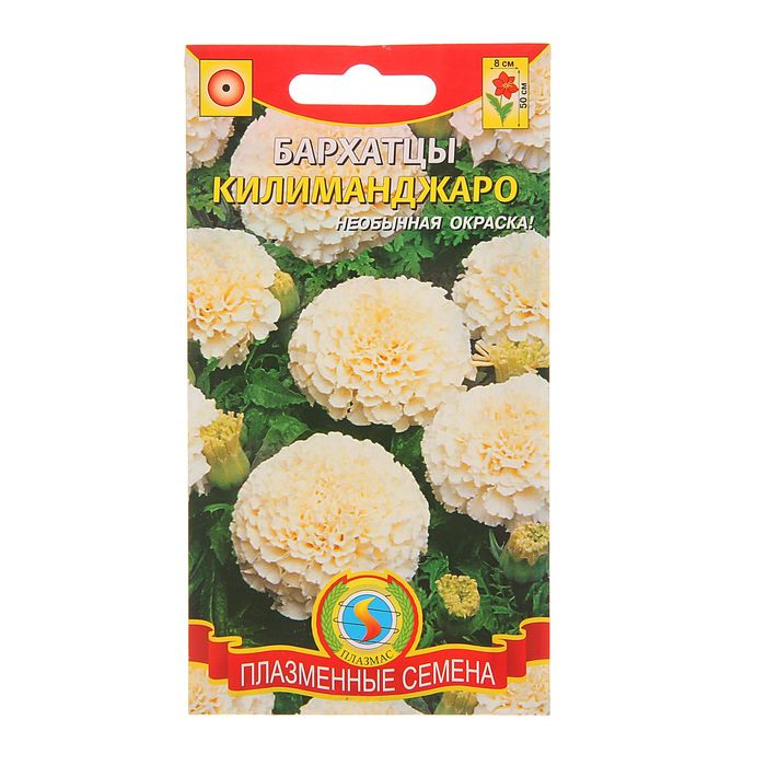 Семена Бархатцы