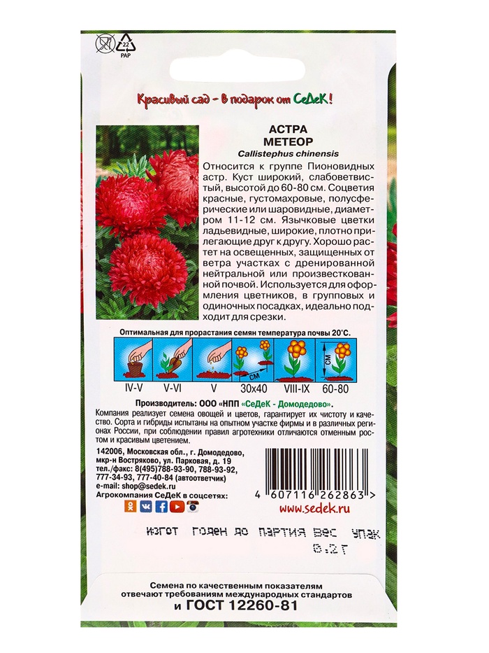Семена Цветок Астра