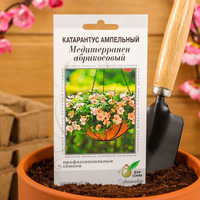 Семена цветов Катарантус амп. Медитерранен, абрикосовый, 7 шт