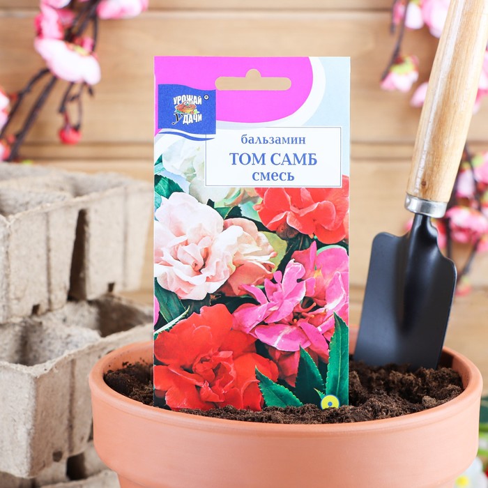 Семена цветов Бальзамин «Том Самб», Смесь, 0.2 г