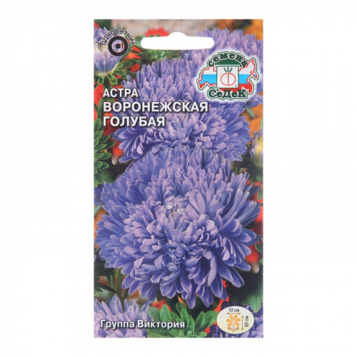 Семена цветов Астра 