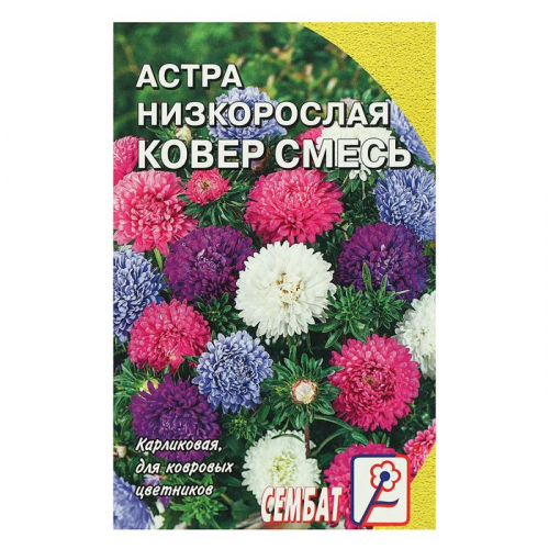 Семена цветов Астра 