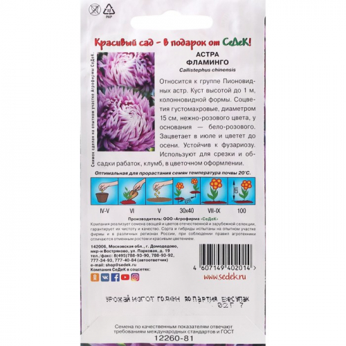 Семена цветов Астра 