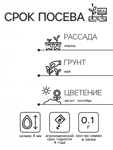 Семена  цветов Астра 