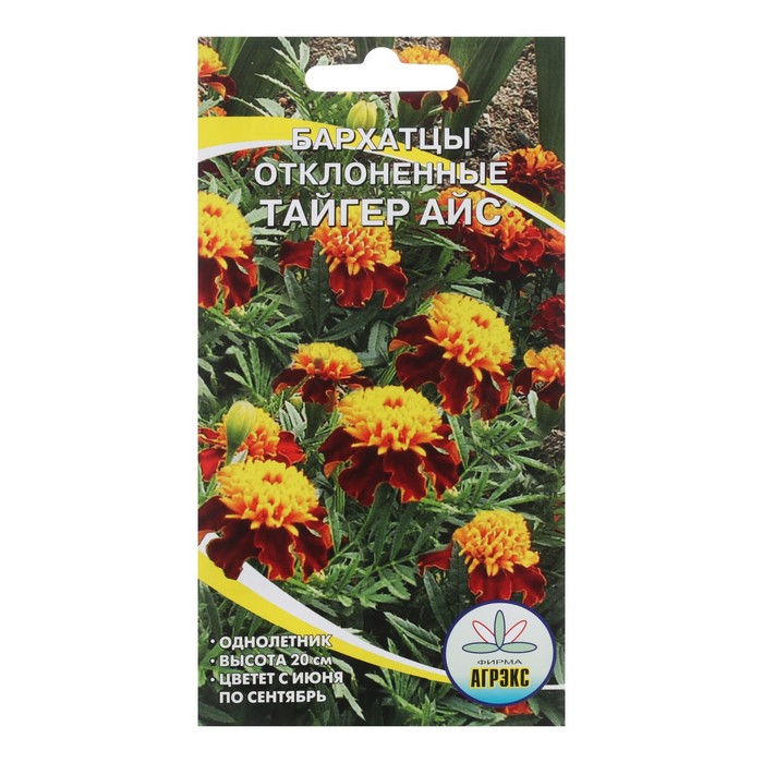 Семена Цветов однолетние Бархатцы Тайгес Айс«, отклонённые, махровые, 0.2 г