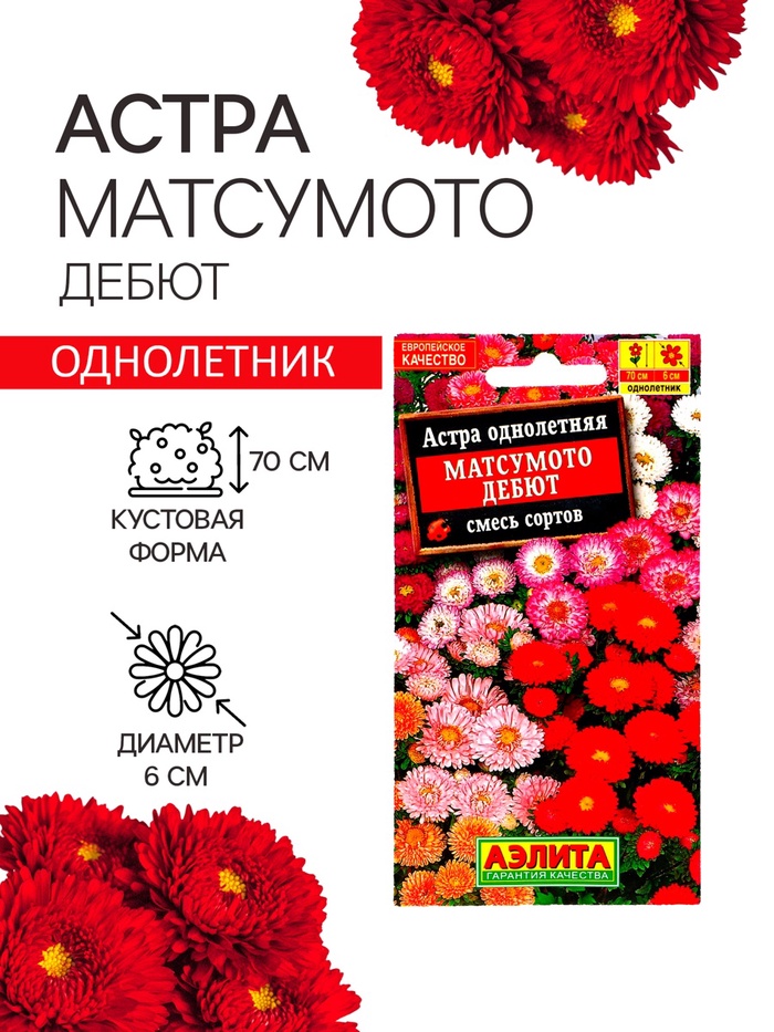 Семена Астра Матсумото Дебют, смесь окрасок , 0,2г