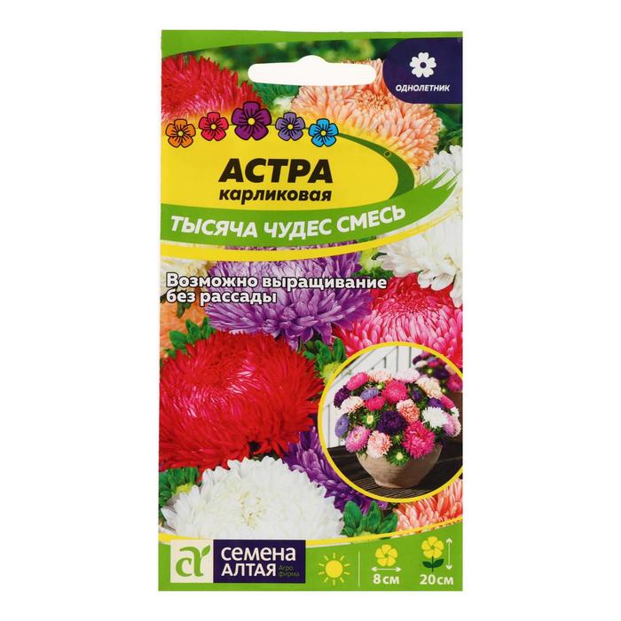 Семена цветов Астра «Тысяча чудес», карликовая, смесь, 0.15 г, «Семена Алтая»