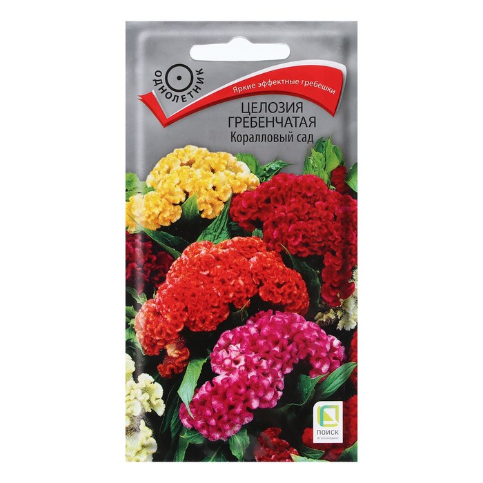Семена цветов Целозия гребенчатая