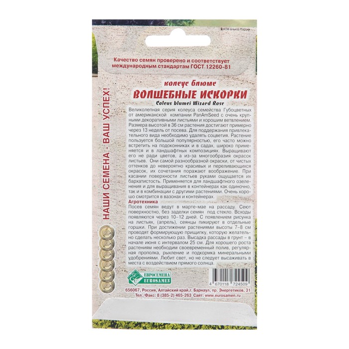 Семена Колеус блюме