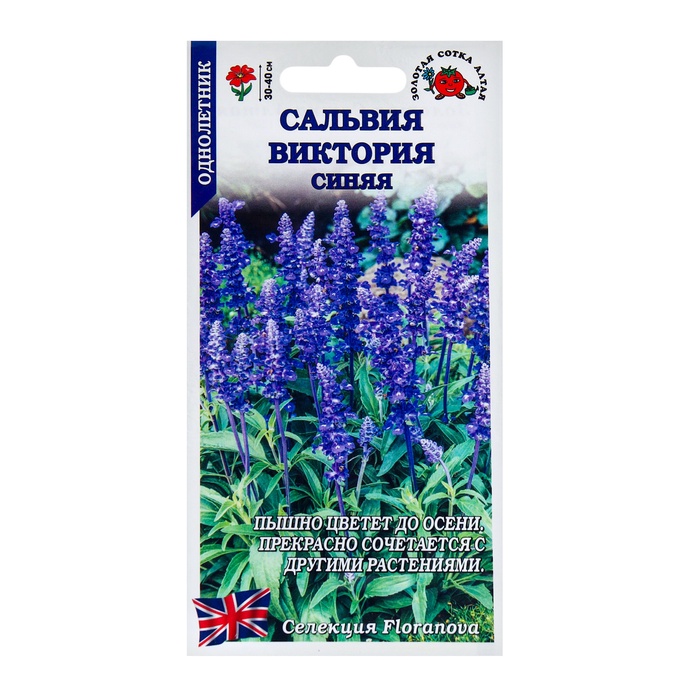 Семена цветов Сальвия