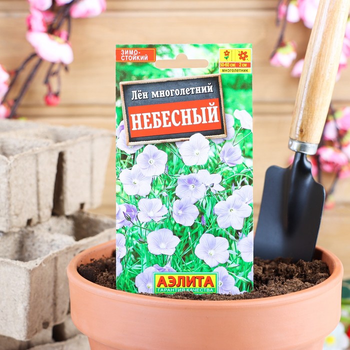 Семена цветов Лен многолетний