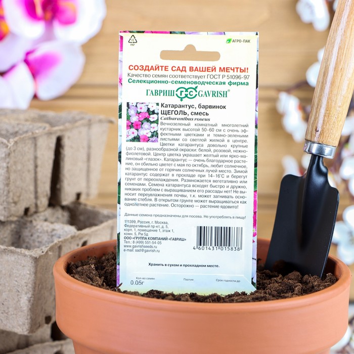 Семена комнатных цветов Барвинок