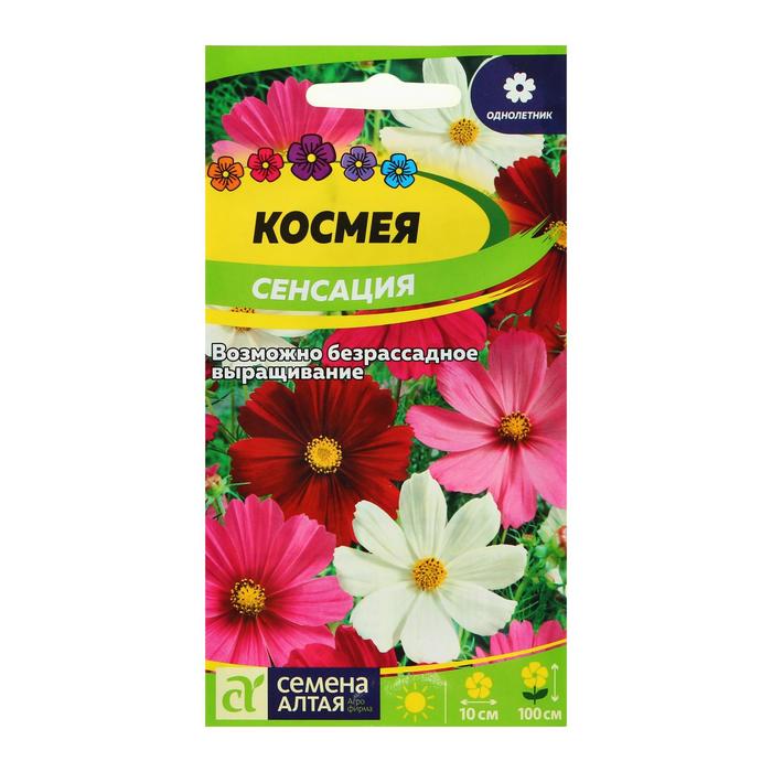 Семена цветов Космея