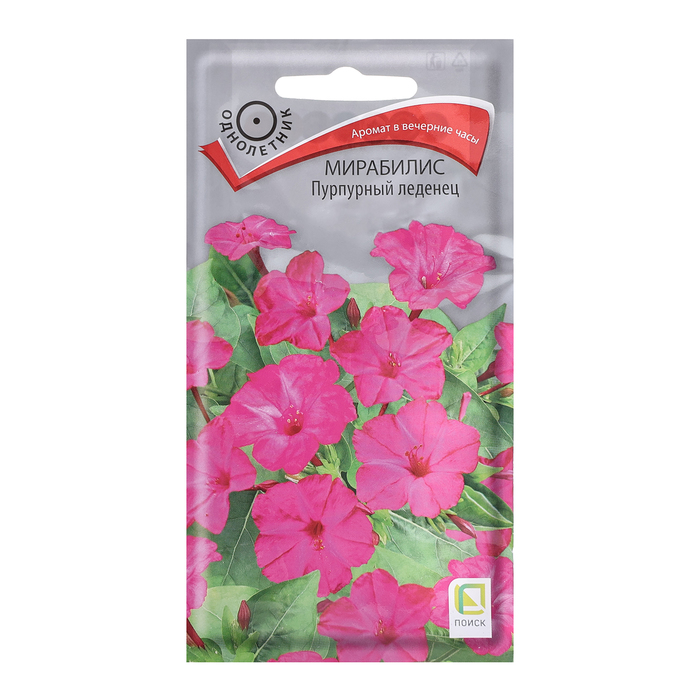 Семена цветов Мирабилис «Пурпурный леденец», 1 г, «Поиск»