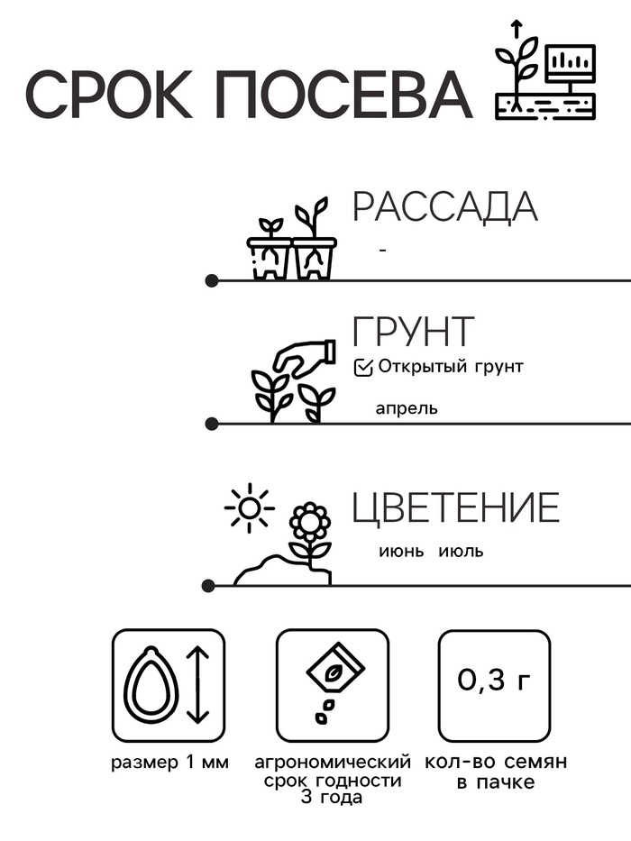 Семена цветов Маттиола двурогая