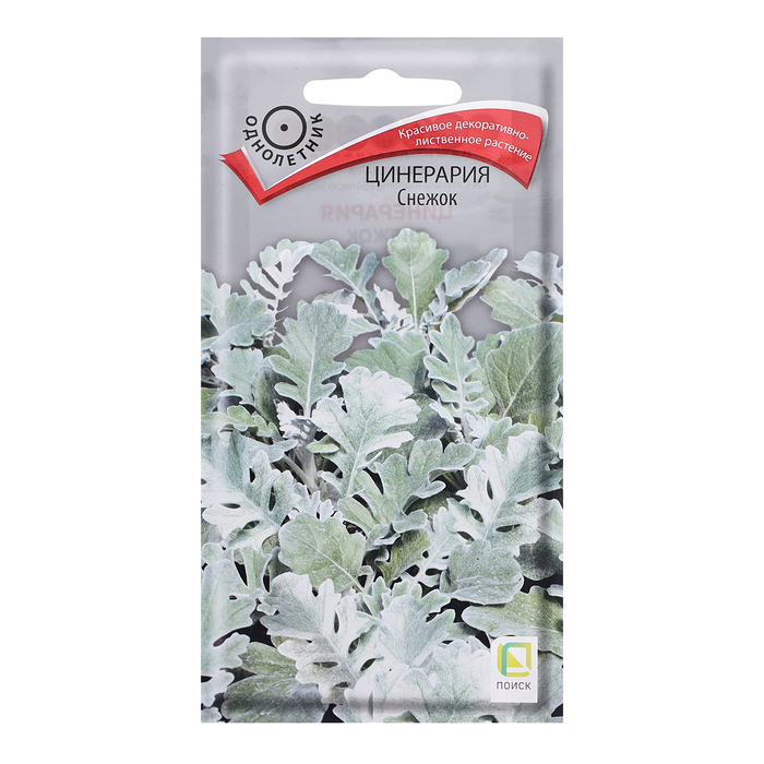 Семена цветов Цинерария