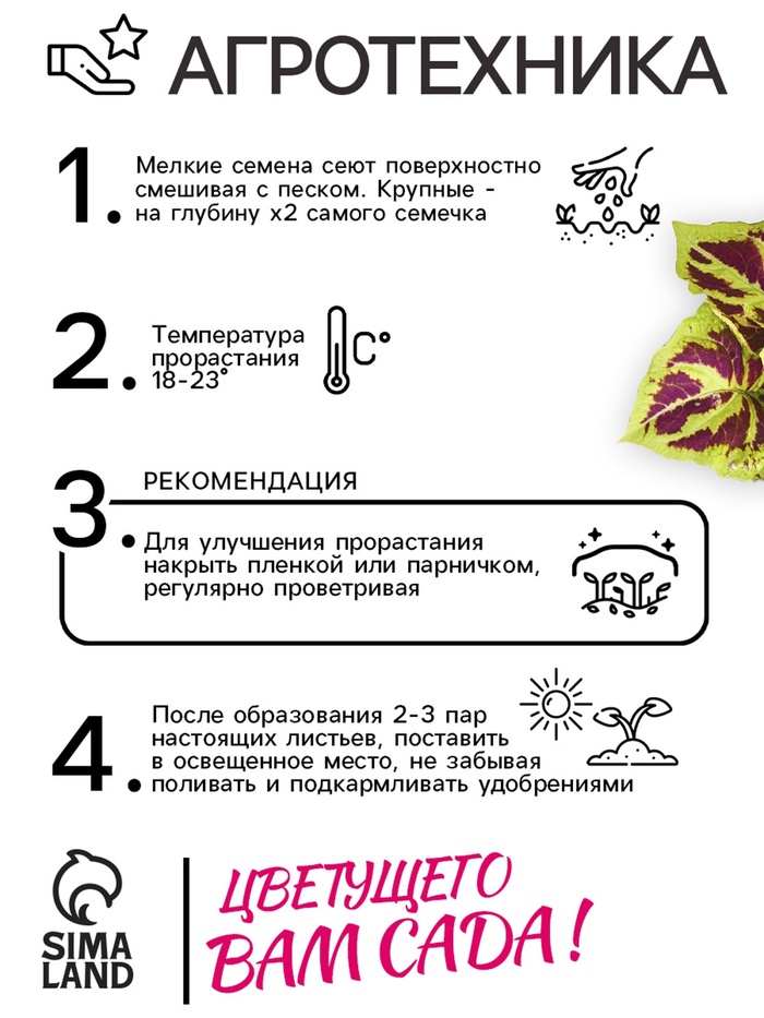 Семена цветов Колеус