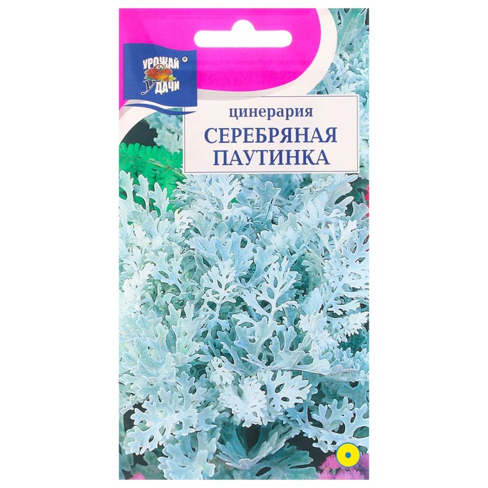 Семена цветов Цинерария