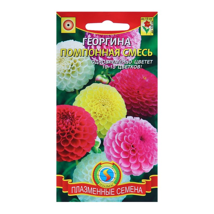 Семена Георгина махровая