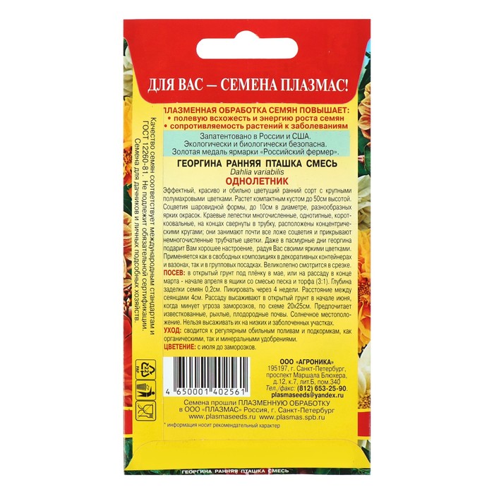 Семена Георгина