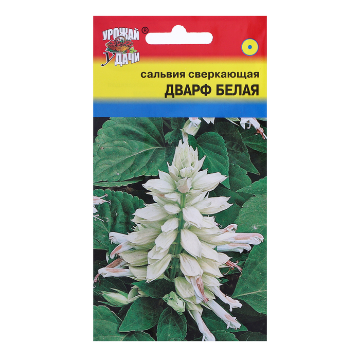 Семена цветов Сальвия